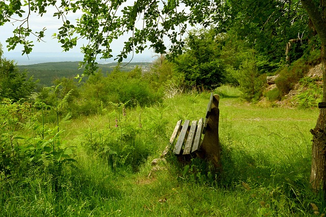 新西兰凭什么保送世界杯？澳大利亚凭什么还留亚洲？.